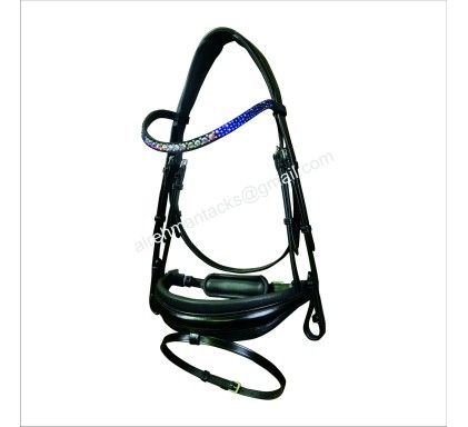 Leather Bridle